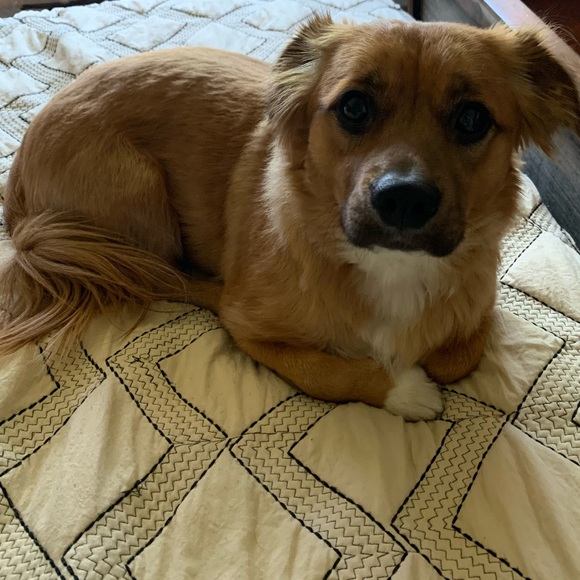 Meet your Posher, Brianna - Picture 6 of 8